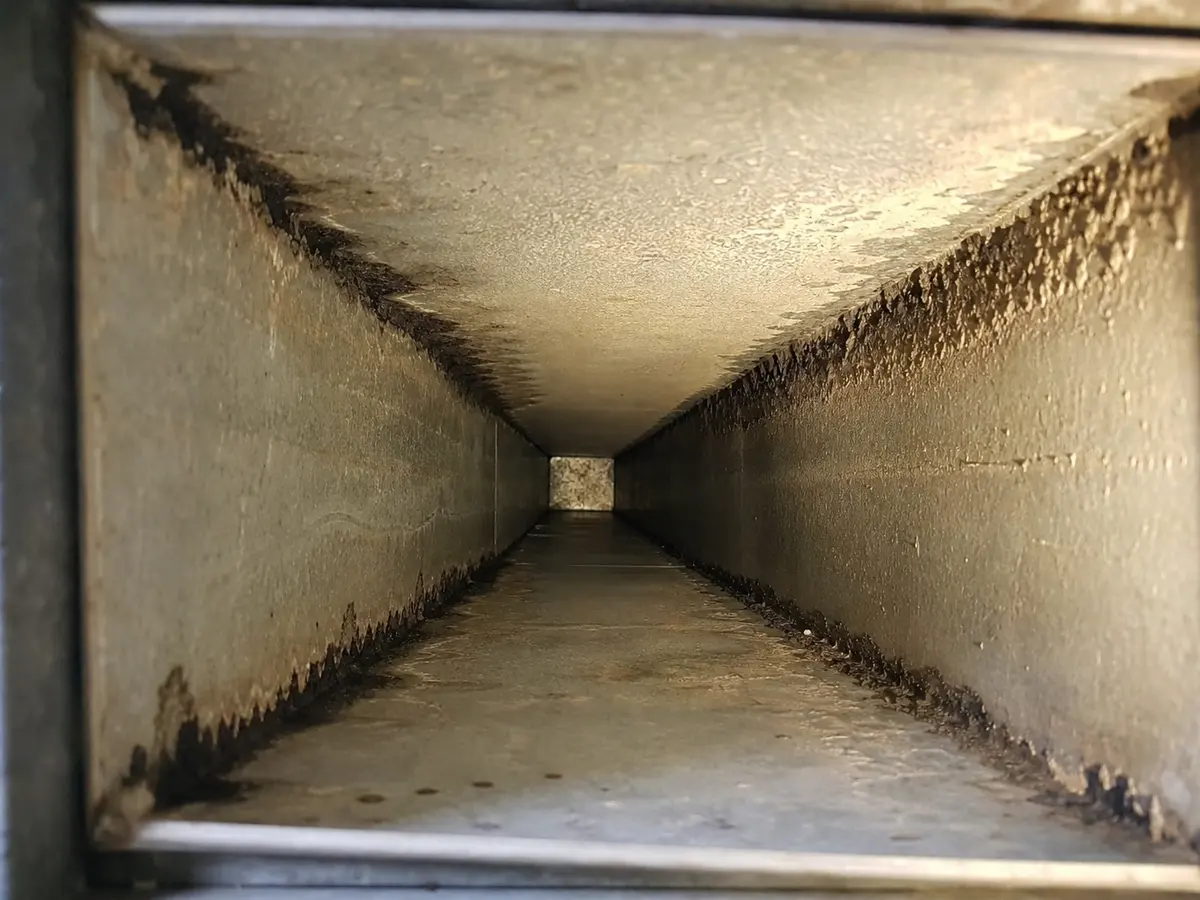Air Duct Mold Removal in San Mateo, CA